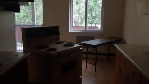 baby raccoon  - txwloafrvvuevfifyofwcbtyseoexiemskifcoqkwvmtj20200622_195548.jpg