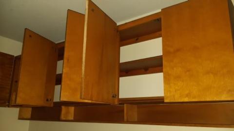 baby raccoon  - adfzbmhcbmjrwcmmewvdxckedkdveonisgxoyokfdzxap20200622_195607.jpg