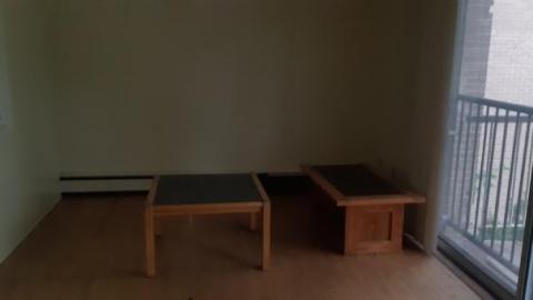 baby raccoon  - vljtwaiplpxnfcjvihljnollidwgvodutncsgyhoxshuj20200622_195613.jpg