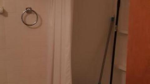 baby raccoon  - rqogtgavwtbvuynxzgxrtmtkgarcptpaqdspaudmuneoo20200622_195636.jpg