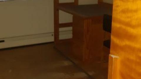 baby raccoon  - fhvbfafvtenwjnsgulygnvyojxgrgmmqevlwfixurdsfh20200622_195649.jpg