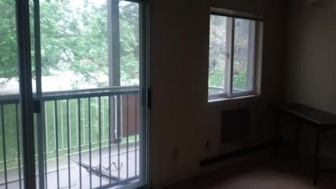 baby raccoon  - tgqeaeqrtliiyrrtdoxnopbkbxkcwxokjpkmuujqdlwcu20200622_195819.jpg