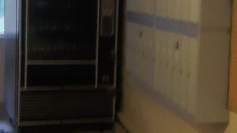 baby raccoon  - zelocugqkzpaqjghdwhutwggoprurzdgkuscgoumvohvs20200622_200616.jpg