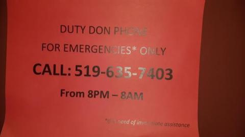 baby raccoon  - ehljgzjscqhiimmabgpomuqqctedecxdwyzgtxgpmfhrr20200622_200643.jpg