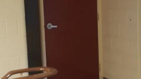 baby raccoon  - hpvsnxuzuniabmswwwbearzbypztqsvpeodguzxtxmyas20200622_200911.jpg