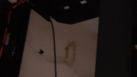 baby raccoon  - unzaaigswemzxyyyoktoxdcnzahesxwirlasclzyyflxq20200622_200950.jpg