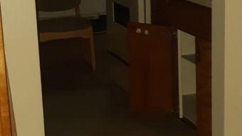 baby raccoon  - bnrklzzoujmrbpruaealikejaziqfcgouibmxnzntamxf20200622_201232.jpg