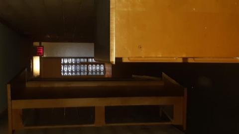 baby raccoon  - ipwzlluqsaxrhahbdhtyxmodhzyaxkvqeaoqtghfwxfew20200622_201325.jpg