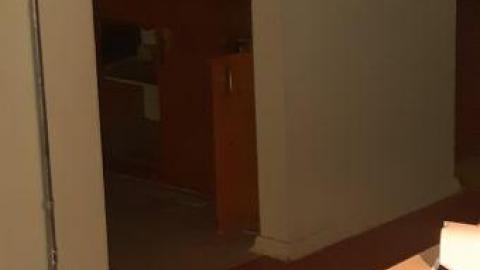 baby raccoon  - viijbpovgjmzlplyksgcioihqxwdrwgsxfqlkamicnkds20200622_201431.jpg