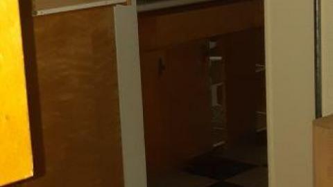 baby raccoon  - deklidxqivuvntmhxmrkrbbryecnppauqtnflszejttbl20200622_201444.jpg