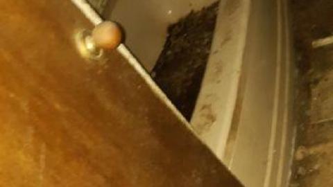 Photo from bullet casing galore