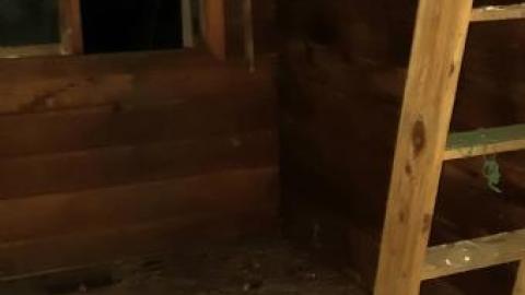 bullet casing galore - 20200623_002345.jpg