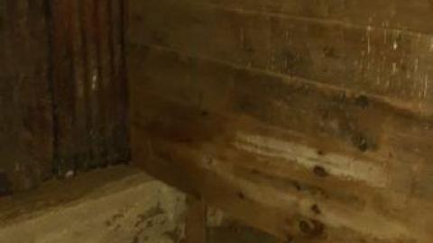 bullet casing galore - 20191117_200058.jpg