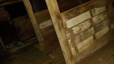 bullet casing galore - 20191117_200201.jpg