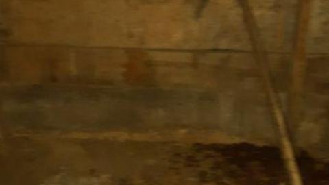 bullet casing galore - 20191117_200218.jpg