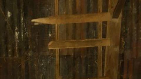 bullet casing galore - 20191117_200232.jpg