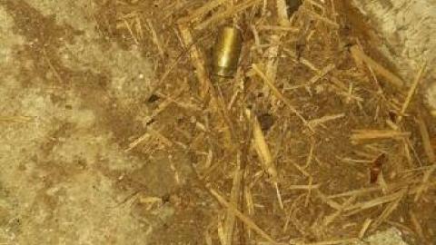 bullet casing galore - 20191117_200238.jpg
