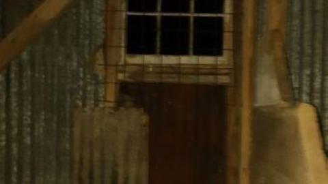 bullet casing galore - 20191117_200451.jpg