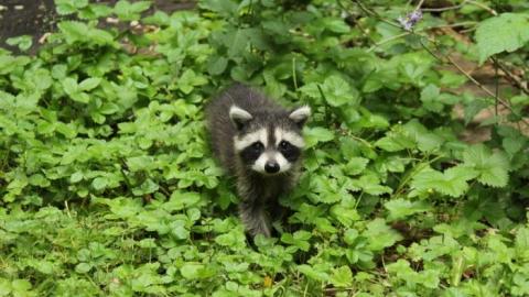 Student Life (Reliving It) - IMG_0015.jpg