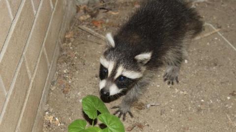 Student Life (Reliving It) - IMG_0018.jpg