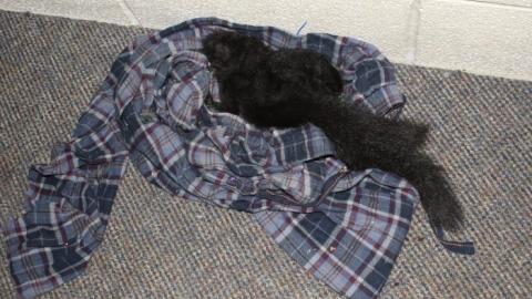 Student Life (Reliving It) - IMG_0025.jpg