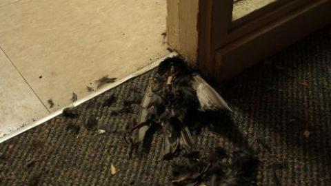 Student Life (Reliving It) - IMG_0761.jpg