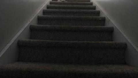 The Black Mold House photo 4