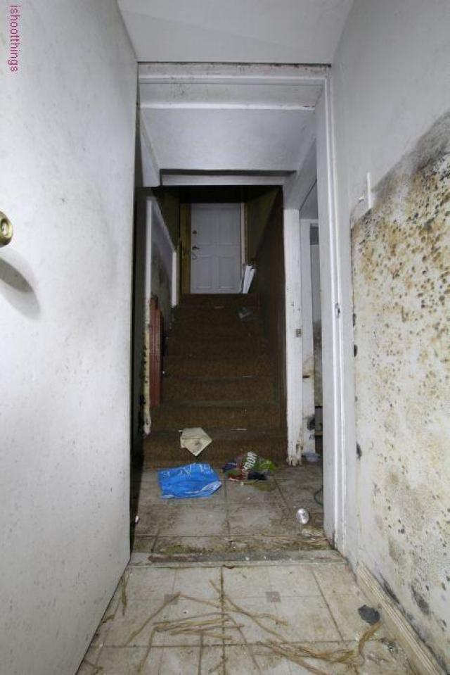 The Black Mold House photo 2