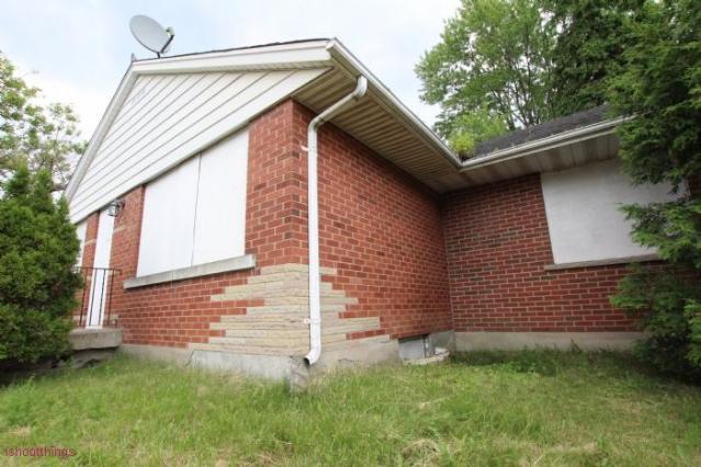 The Black Mold House photo 3