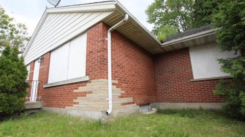 The Black Mold House photo 3