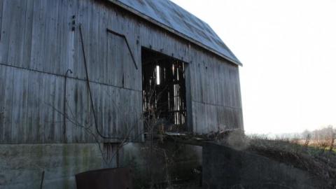 Barn Island - IMG_0875.jpg