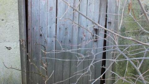 Barn Island - IMG_0876.jpg