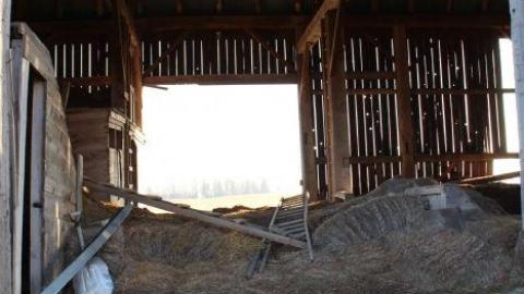 Barn Island - IMG_0879.jpg