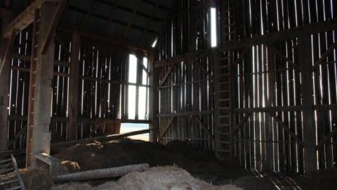 Barn Island - IMG_0880.jpg