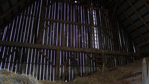 Barn Island - IMG_0884.jpg