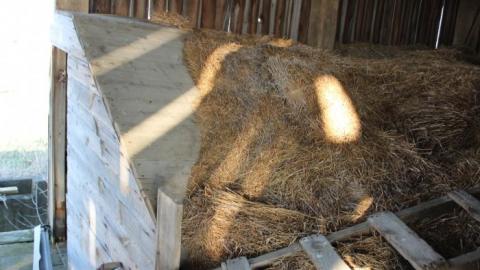 Barn Island - IMG_0886.jpg