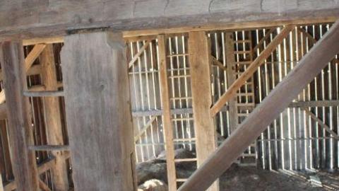 Barn Island - IMG_0889.jpg