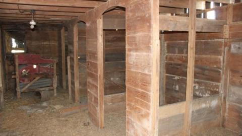 Barn Island - IMG_0891.jpg