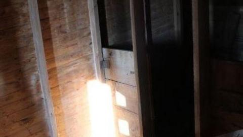 Barn Island - IMG_0894.jpg