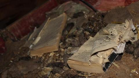 Photo from Barn Island