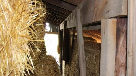 Barn Island - IMG_0897.jpg