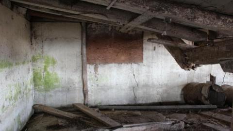 Barn Island - IMG_0899.jpg