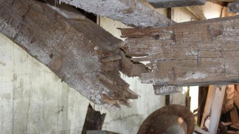 Photo from Barn Island