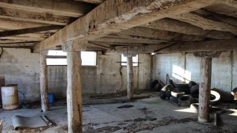 Barn Island - IMG_0902.jpg