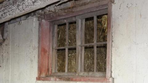 Barn Island - IMG_0903.jpg