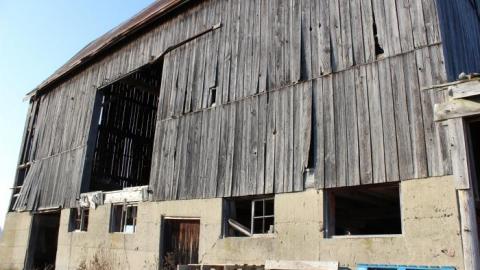 Barn Island - IMG_0905.jpg