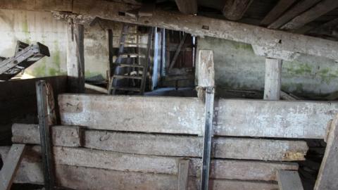 Barn Island - IMG_0906.jpg