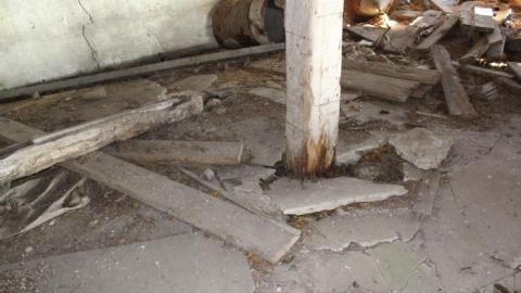 Barn Island - IMG_0909.jpg