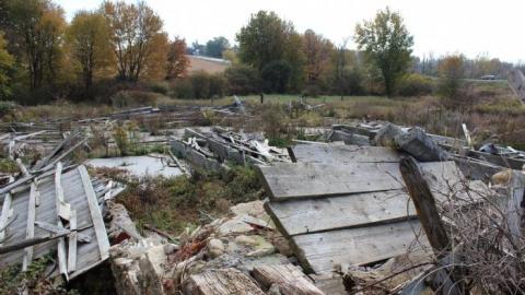 Even Less - IMG_9201.jpg