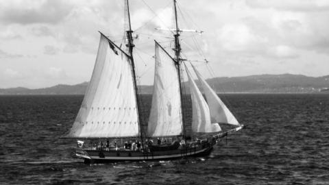 Tobermory  - 3F61EA8B-721C-458F-A335-10696CBD58F1.jpeg